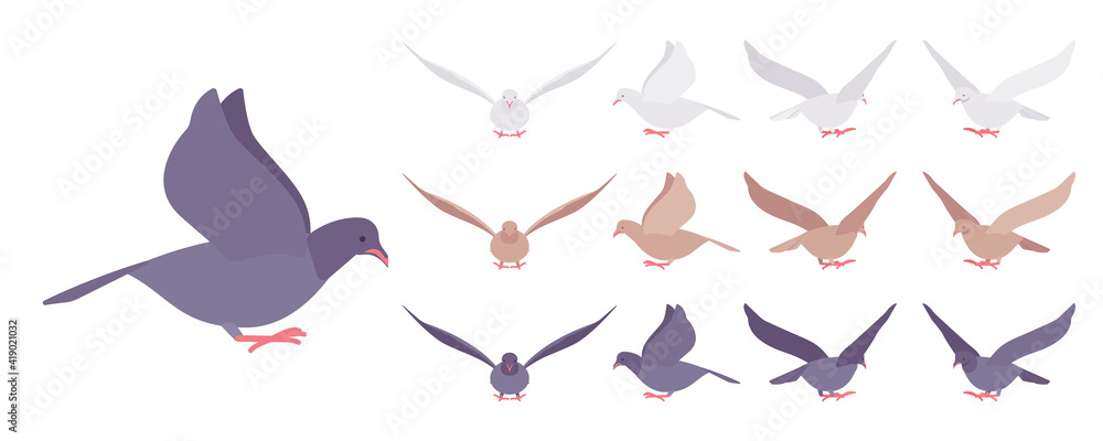 Pigeons and doves set, domestic or street bird in flight. Wildlife study, ornithology and birdwatching concept. Vector flat style cartoon illustration isolated on white background, different views Pigeons and doves set, domestic or street bird in flight. Wildlife study, ornithology and birdwatching concept. Vector flat style cartoon illustration isolated on white background, different views