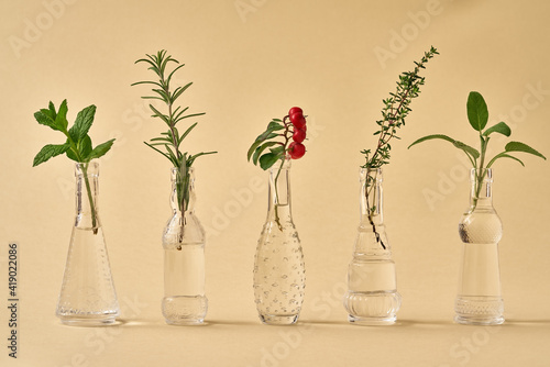 Peppermint, rosemary, wintergreen, thyme and sage in glass bottles
