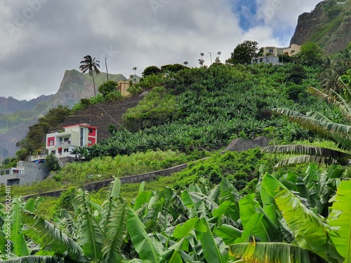Obraz na plátně L'agriculture traditionnelle est bien présente à Santo Antao, Cap-Vert