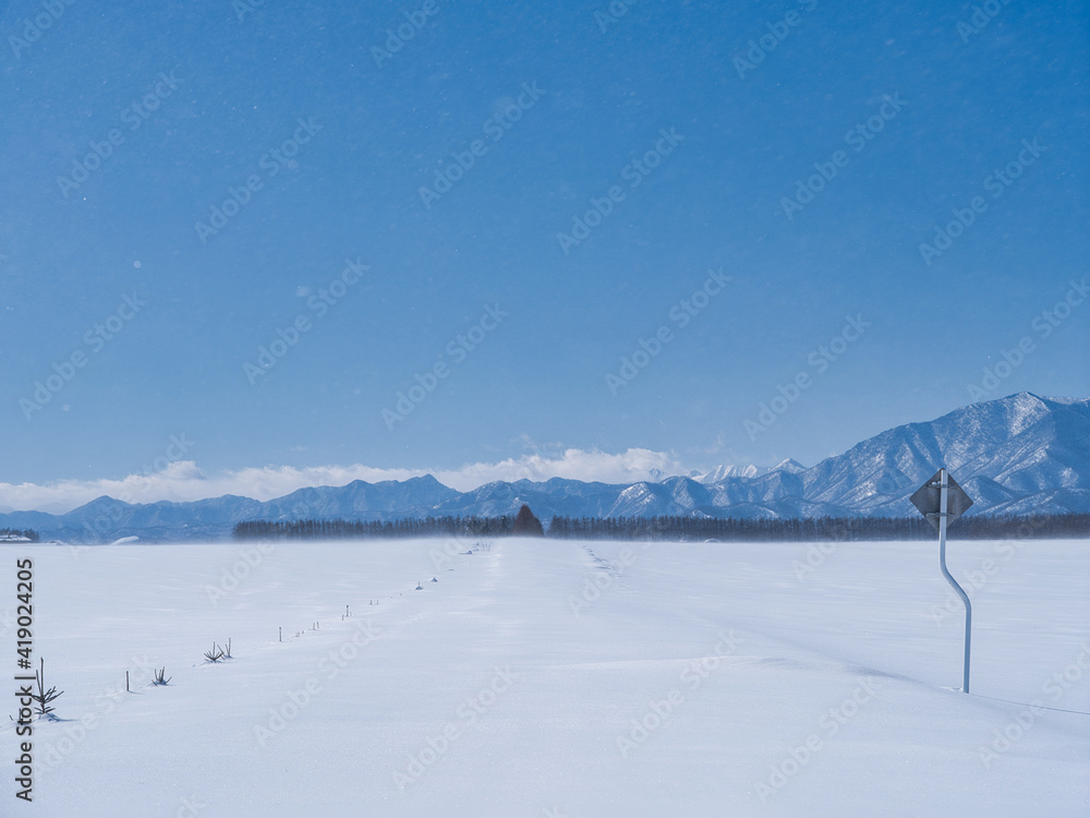 Fototapeta premium 冬の十勝