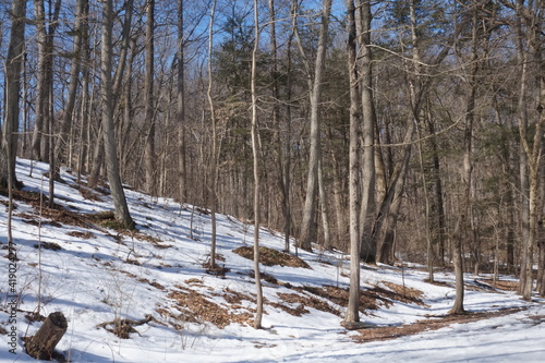 Snowy Wooded Hill in Park