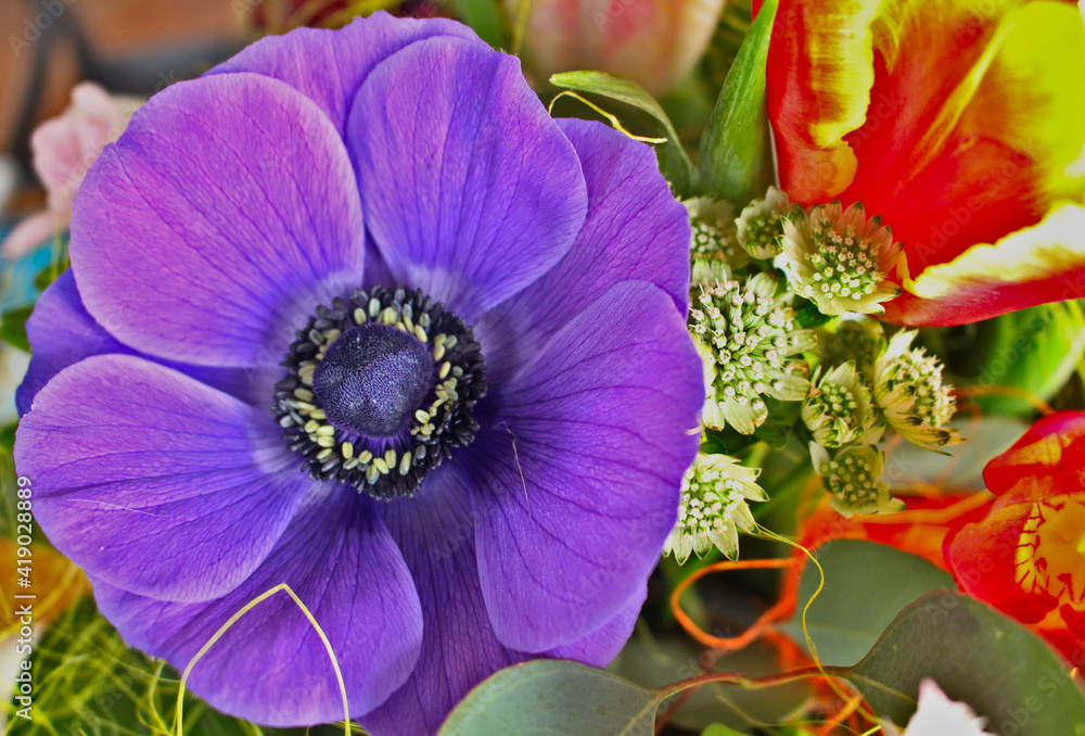 Fototapeta premium Colorful bouquet in spring