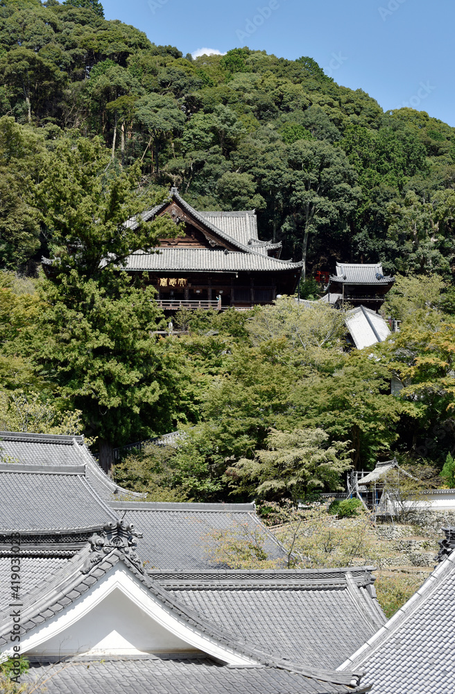 Fototapeta premium 長谷寺 本堂 奈良県桜井市