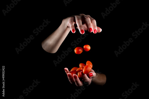 Cherries tomatoes, falling from hands, on a plate with black background and high contrast.Cherries tomatoes on black background.