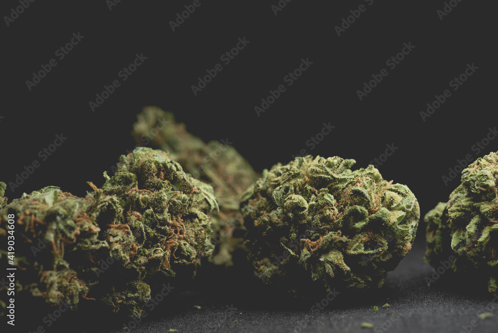 close up portrait of Amnesia Cannabis Marijuana Dry Buds