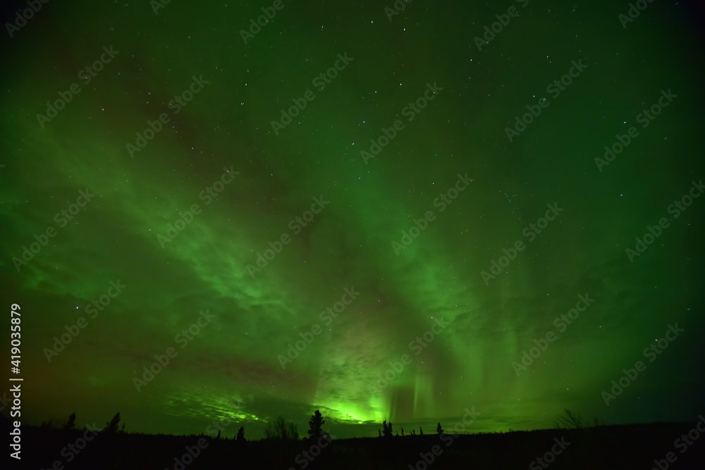 The aurora borealis, or northern lights, tint the night sky green over Interior Alaska.