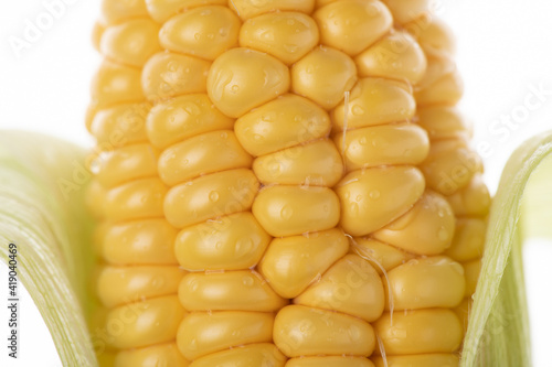 Sweet corn 4