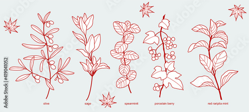 hand drawn grass line elements set Free Vector