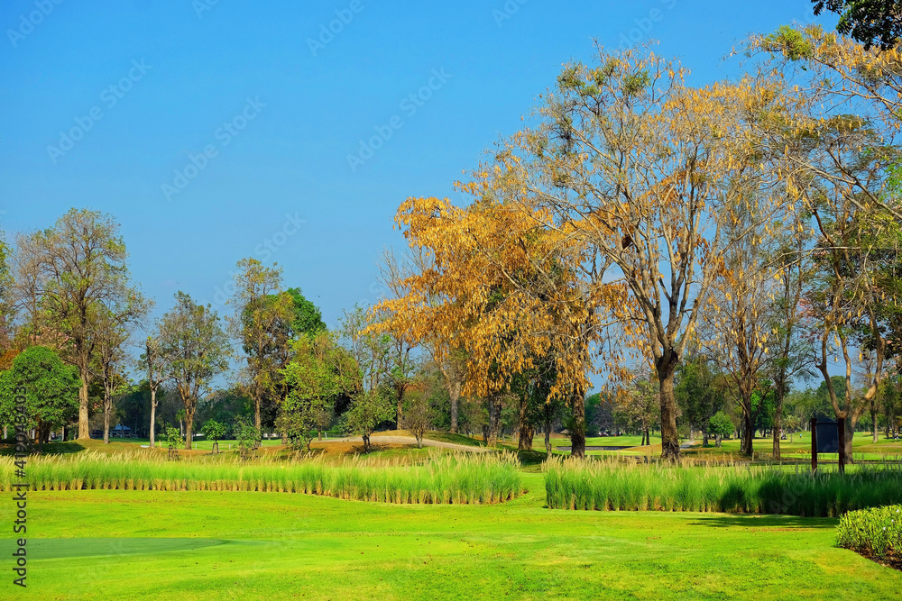 Landscape of a golf field with greenery trees under blue sky 1