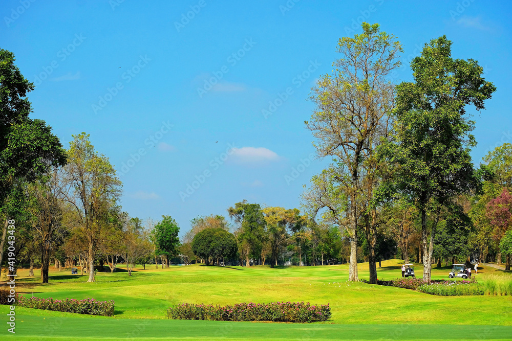 Landscape of a golf field with greenery trees under blue sky 2