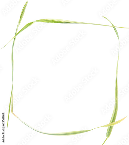 knot, pigtail and bow from green grass with white streaks isolated on white background
