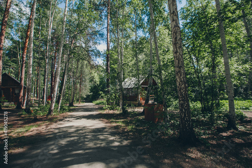 summer wooden house in a birch grove. camping in the woods. tourist base for travelers ' recreation. eco-friendly construction
