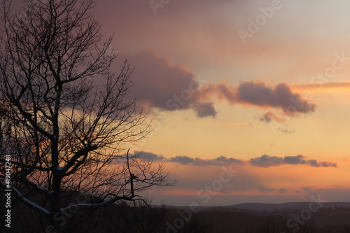 A silhouette of a bare snow covered tree against a winter sunset