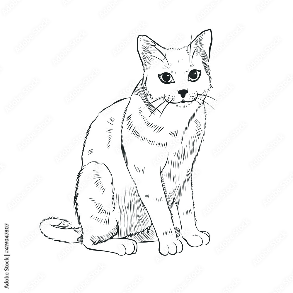 Cat sitting pose Vector Outline Illustration isolated on white. Cat sitting pose Vector Outline Illustration isolated on white.