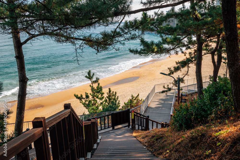 View of Jeungsan Beach from Isabu Lion Park in Samcheok, Korea