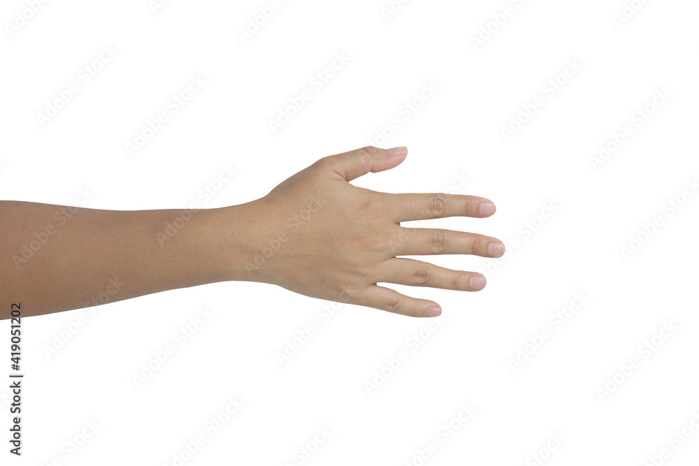 Female hand isolated on white background with clipping path Female hand isolated on white background with clipping path