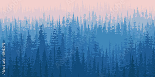 View of the taiga in the morning light