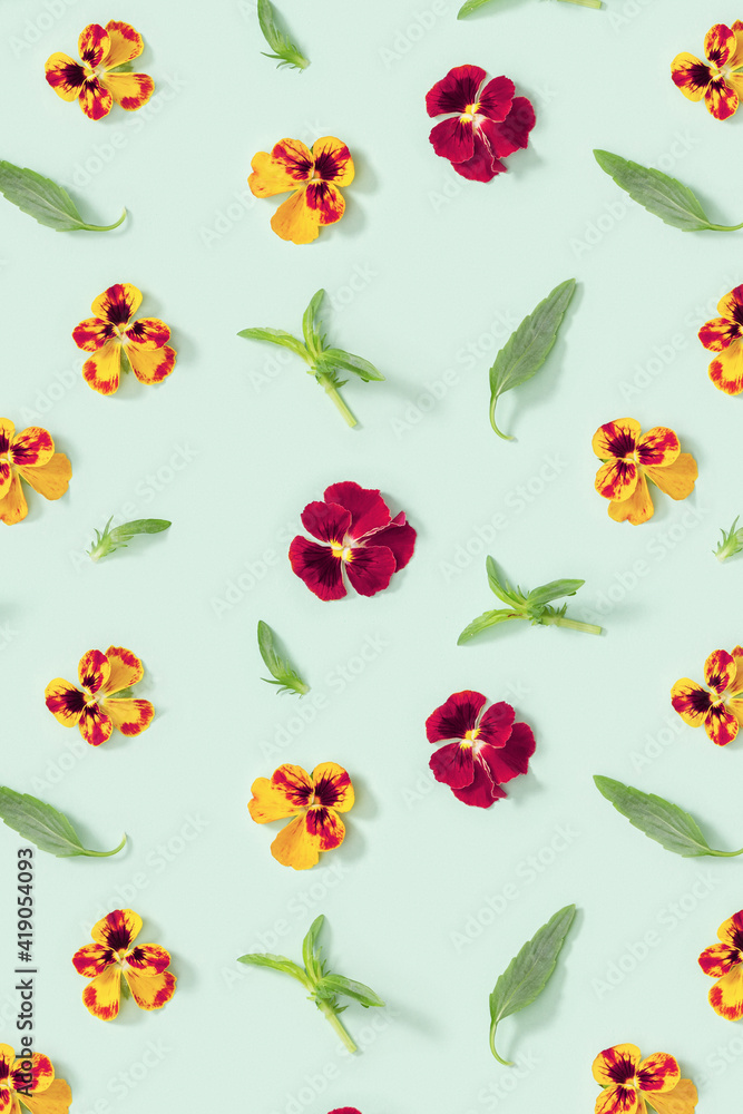 Pattern with natural blossom flowers heartsease and leaves. Small bright blooming buds of flowers pansy.