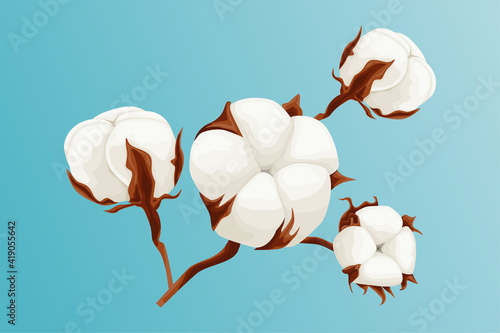 Beautiful cotton branch on blue background