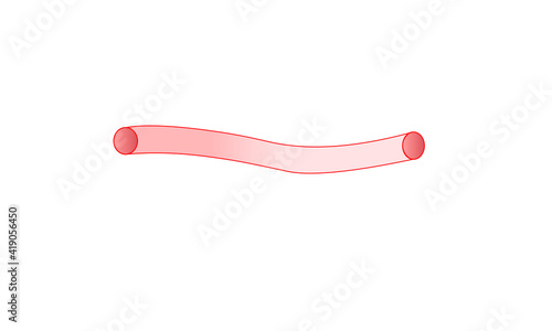 Blood vessel animation