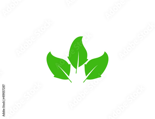 Green leaf, Eco icon on white background. Vector illustration. © GlopHetr
