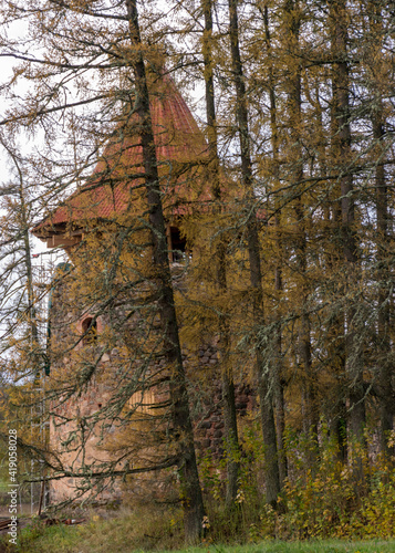 landscape with castle ruins, autumn day, restored tower roof through larch trees, Ergeme castle ruins in autumn