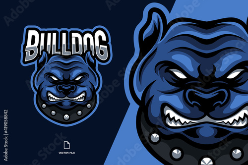 blue bulldog mascot logo illustration cartoon character