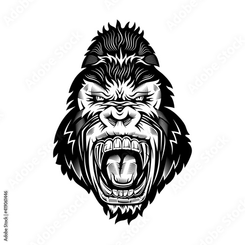 Ferocious gorilla head. Vector illustration on white background.