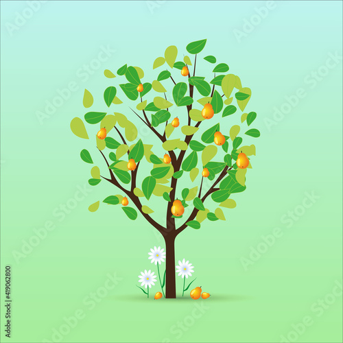 Summer fruits tree with green leaves and juicy pears.Vector seasonal botanical illustration.For postcards webs child books printables and others.