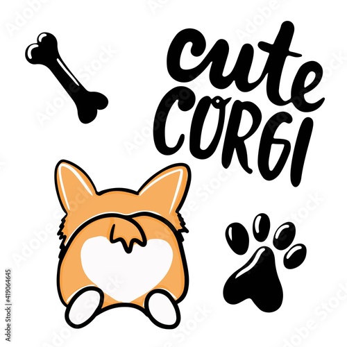 Corgi dog Cute welsh corgi vector cartoon illustration isolated on white background. Funny corgi butt modern flat design element for badges, labels, cards