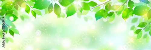 新緑　葉　春　背景
