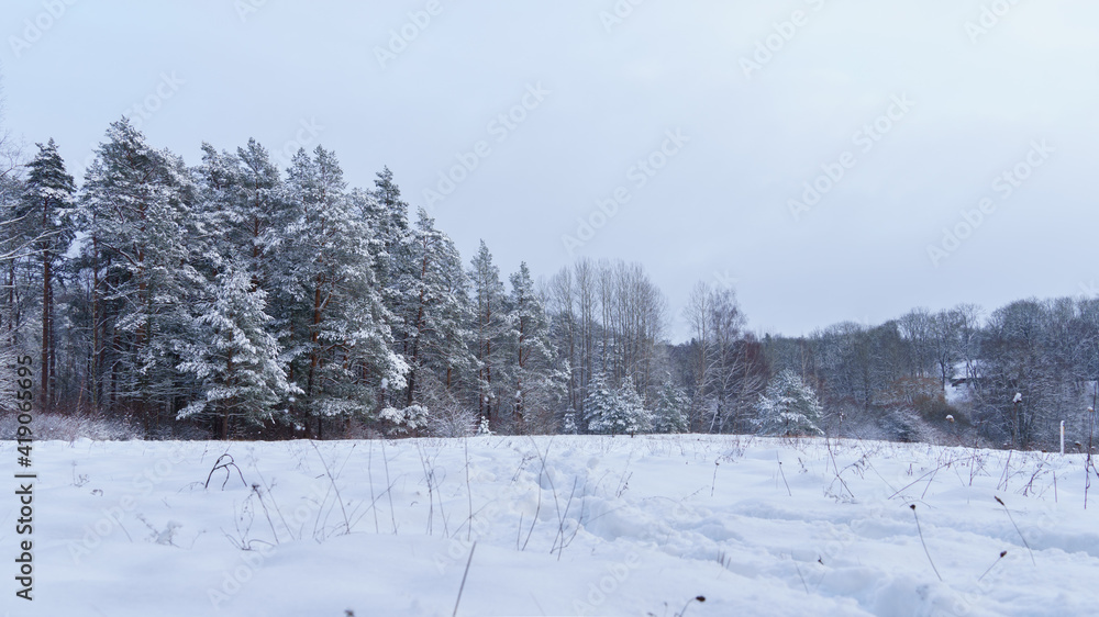 Obraz premium landscape in winter