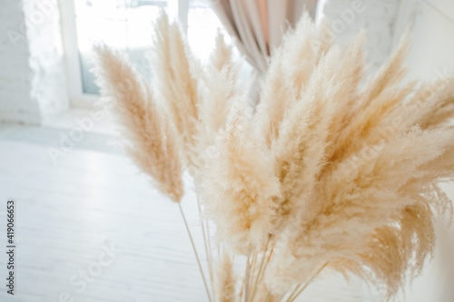 Dried pampas grass in glass vase on wooden floor near white background, modern bright decoration for home interior, copy space,space for text, header, banner for yuor site
