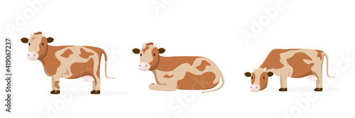 Set of three cows on a white background. Cute cows. Farm Animals
