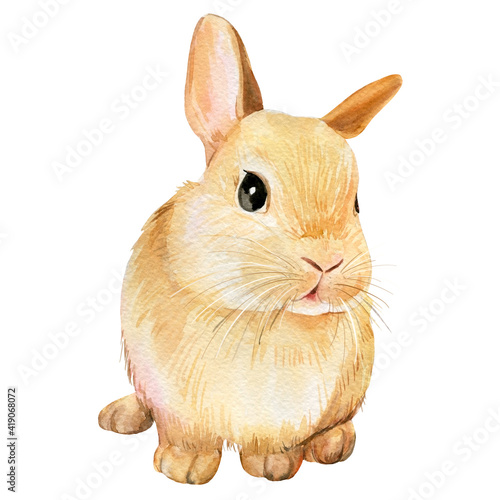 Watercolor cute bunny on an isolated white background