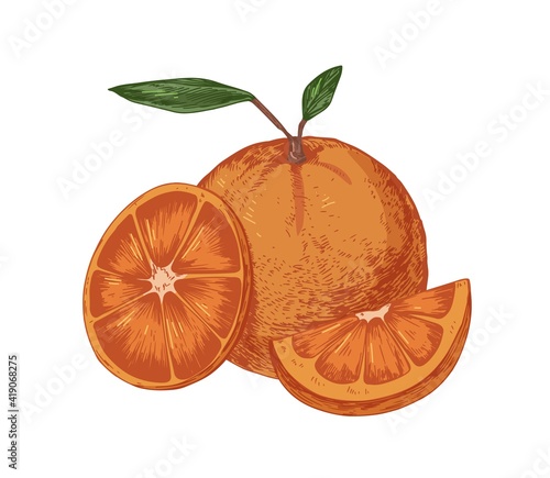 Fresh whole orange with slice and segment of fruit. Ripe juicy citrus with le...