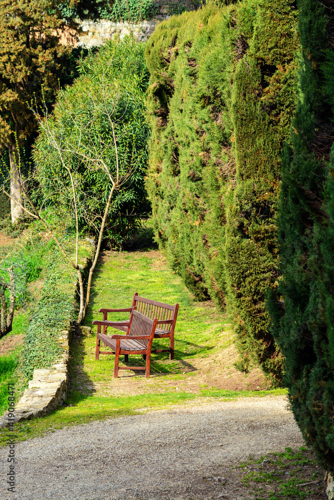 Benches in cypress trees at Villa Gamberaia. Settignano. Suburb of Florence. Tuscany. Italy