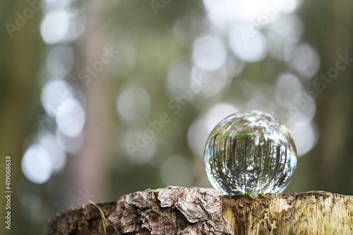 Earth day concept.Ecological concept.Glass ball with forest reflection on a stump in the forest. Environmental protection and nature conservation.Saving the environment and protecting forests 