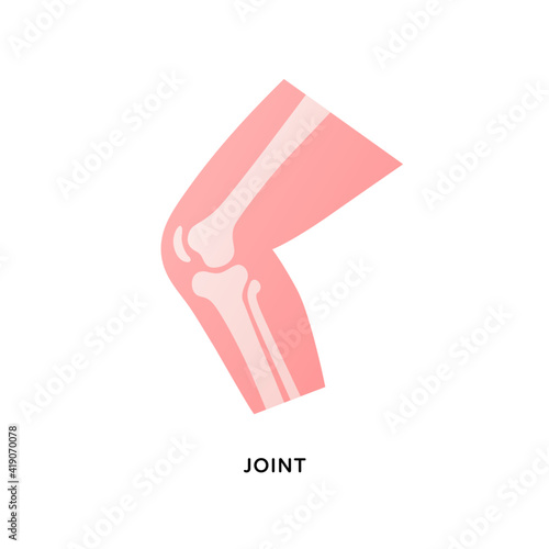 Human organ collection. Vector flat modern anatomical icon illustration. Bent human leg with knee joint bones isolated on white background. Health care medical sign. Design element for orthopaedy.