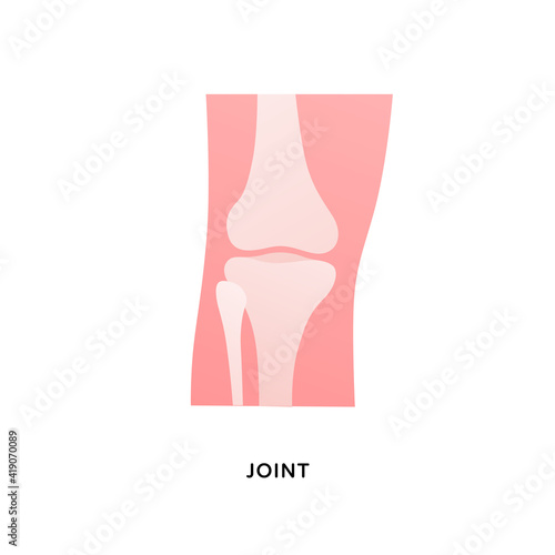 Human organ collection. Vector flat modern anatomical icon color illustration. Human leg with knee joint bones isolated on white background. Health care medical sign. Design element for orthopaedy.
