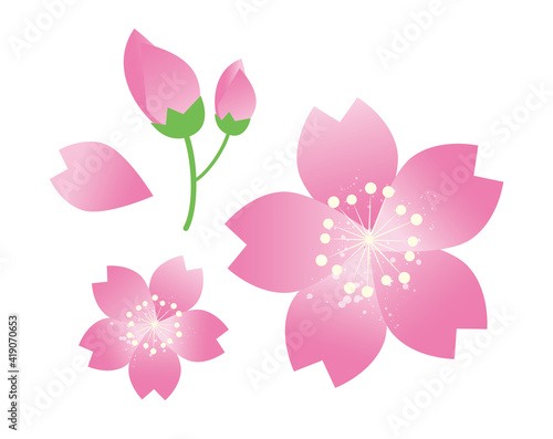 桜の花びら