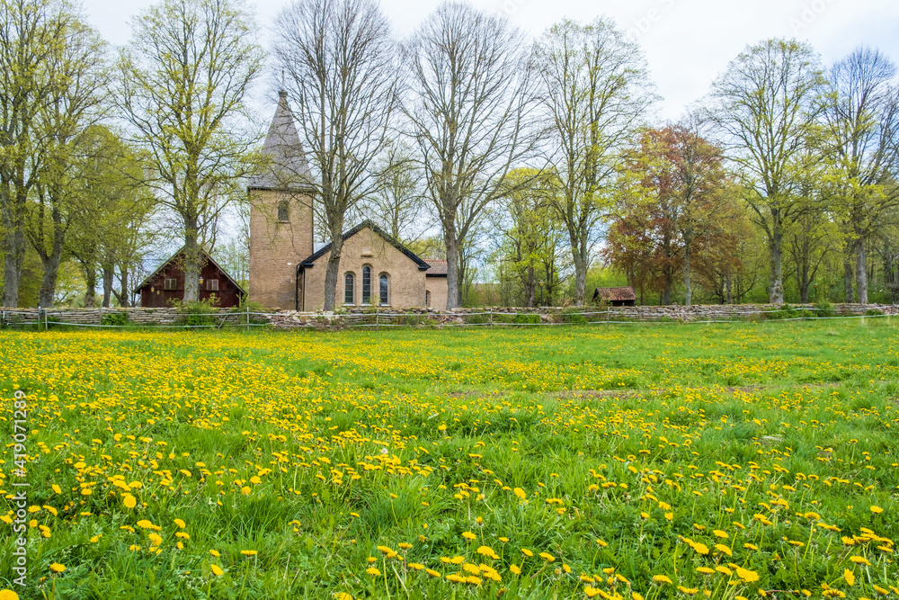 Flowering dandelions meadow at a country church at spring
