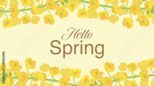 Canola flowers frame background - Included the word "Hello Spring"