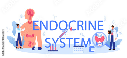 Endocrine system typographic header. Thyroid examination. Doctor examine