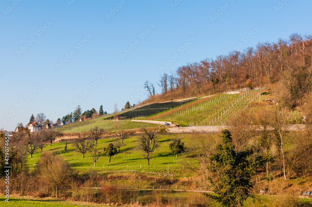 Arlesheim, Weinberg, Ermitage, Landwirtschaft, Schloss Birseck, Dorf, Baselland, Felder, Wintersonne, Winter, Frühling,Schweiz