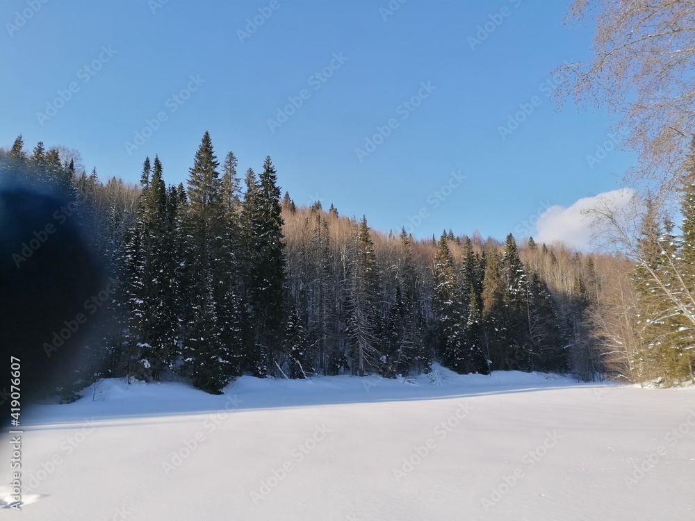 snow covered trees snow covered trees