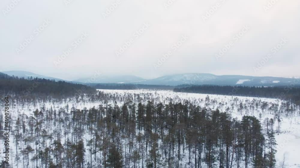 Scattered Spruce-fir snow capped forest spread across frozen Lapland - Aerial Fly-over wide shot Scattered Spruce-fir snow capped forest spread across frozen Lapland - Aerial Fly-over wide shot