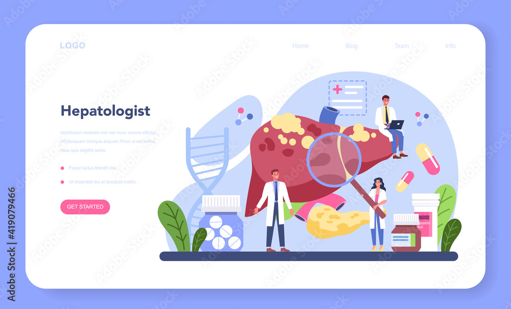 Hepatologist web banner or landing page. Doctor make ultrasound