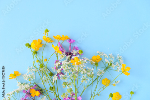 Fototapeta Naklejka Na Ścianę i Meble -  Bouquet of wild flowers on blue background