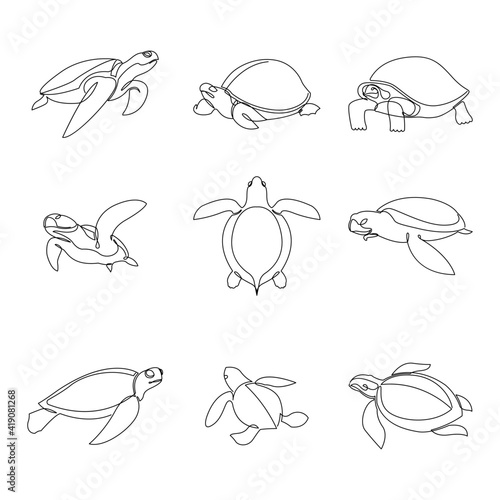 Continuous line turtle set